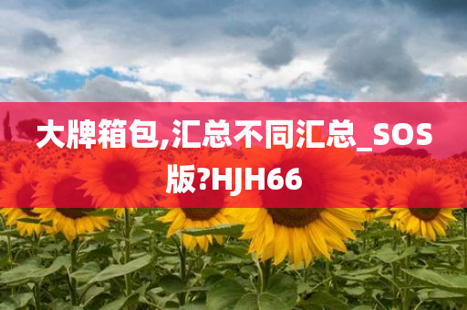 大牌箱包,汇总不同汇总_SOS版?HJH66