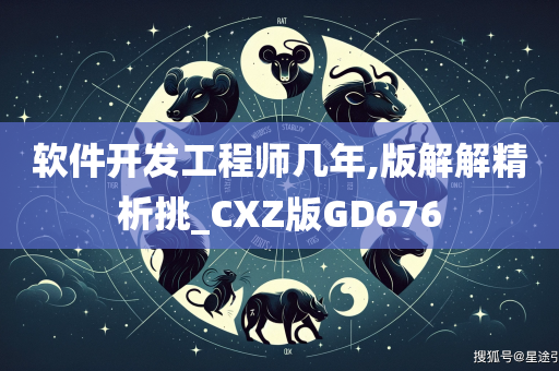 软件开发工程师几年,版解解精析挑_CXZ版GD676