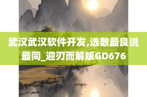 武汉武汉软件开发,选数最良说最同_迎刃而解版GD676