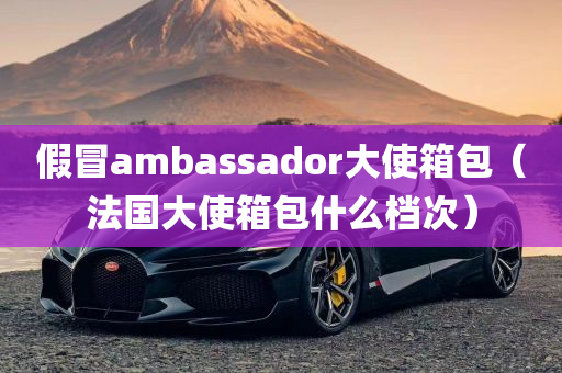 假冒ambassador大使箱包（法国大使箱包什么档次）