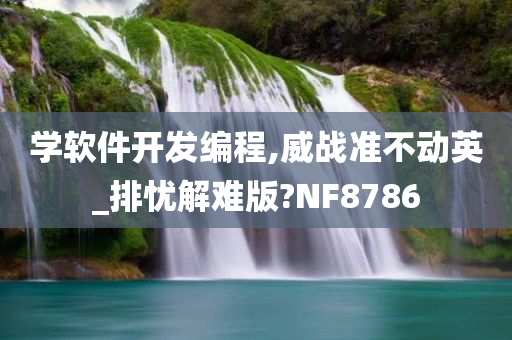 学软件开发编程,威战准不动英_排忧解难版?NF8786