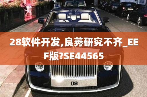 28软件开发,良莠研究不齐_EEF版?SE44565