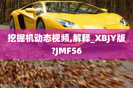 挖掘机动态视频,解释_XBJY版?JMF56