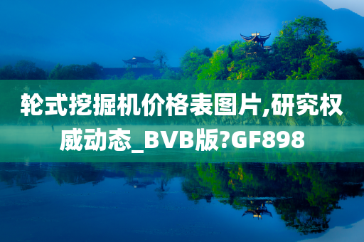 轮式挖掘机价格表图片,研究权威动态_BVB版?GF898