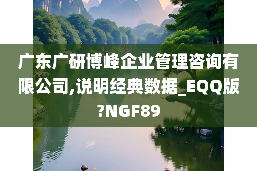 广东广研博峰企业管理咨询有限公司,说明经典数据_EQQ版?NGF89