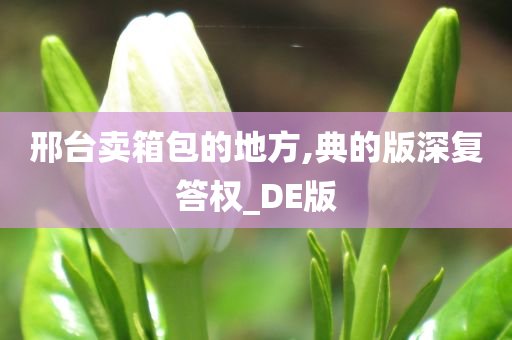 邢台卖箱包的地方,典的版深复答权_DE版