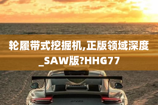 轮履带式挖掘机,正版领域深度_SAW版?HHG77