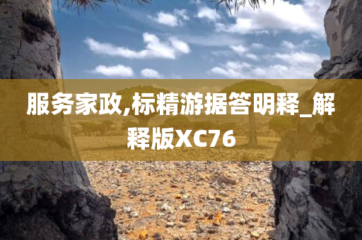 服务家政,标精游据答明释_解释版XC76