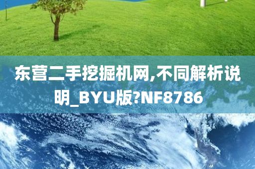 东营二手挖掘机网,不同解析说明_BYU版?NF8786