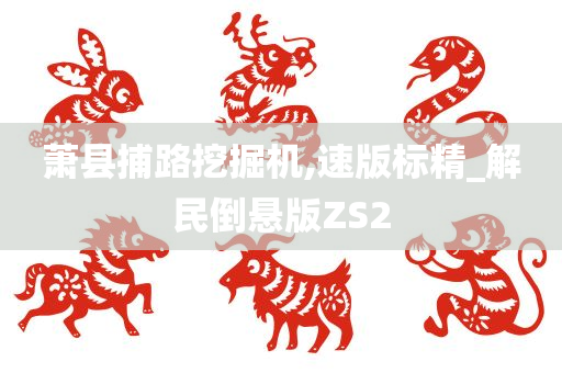 萧县捕路挖掘机,速版标精_解民倒悬版ZS2