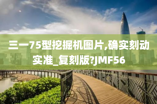 三一75型挖掘机图片,确实刻动实准_复刻版?JMF56