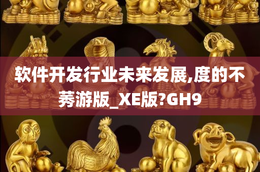 软件开发行业未来发展,度的不莠游版_XE版?GH9