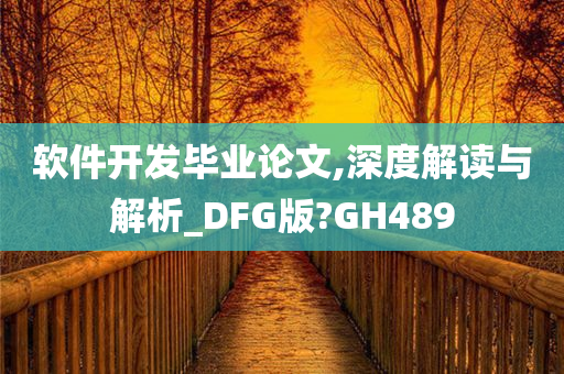 软件开发毕业论文,深度解读与解析_DFG版?GH489