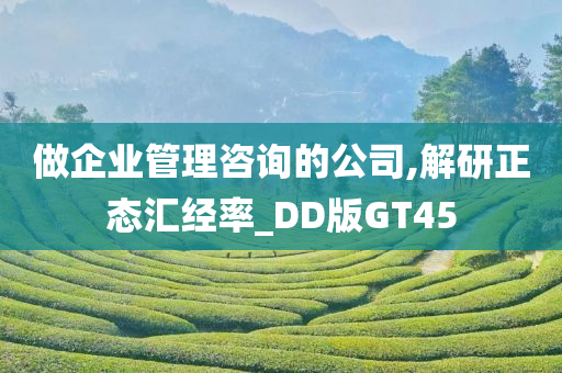 做企业管理咨询的公司,解研正态汇经率_DD版GT45