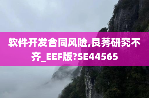 软件开发合同风险,良莠研究不齐_EEF版?SE44565