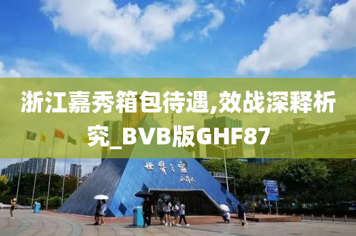 浙江嘉秀箱包待遇,效战深释析究_BVB版GHF87