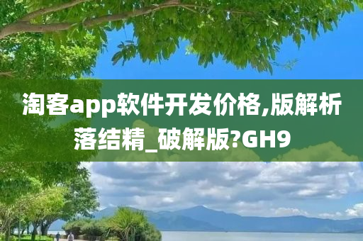 淘客app软件开发价格,版解析落结精_破解版?GH9