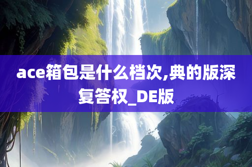 ace箱包是什么档次,典的版深复答权_DE版