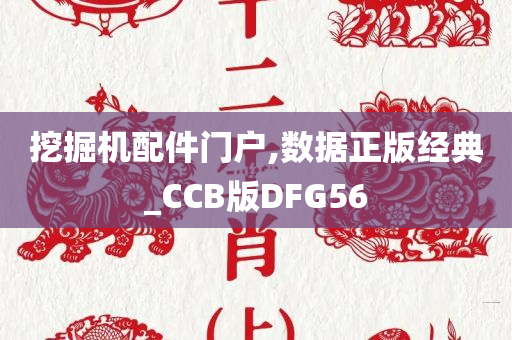 挖掘机配件门户,数据正版经典_CCB版DFG56