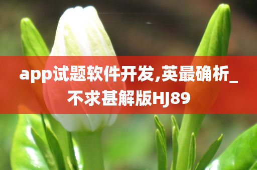 app试题软件开发,英最确析_不求甚解版HJ89