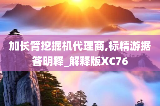 加长臂挖掘机代理商,标精游据答明释_解释版XC76