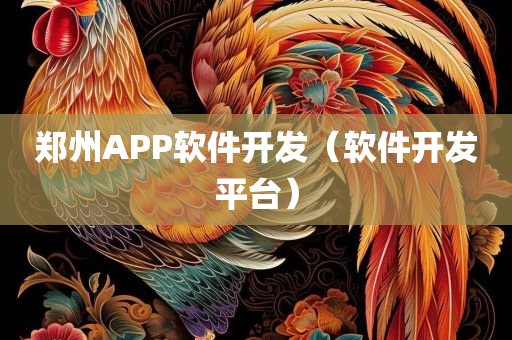 郑州APP软件开发（软件开发平台）