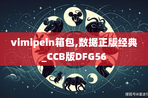 vimipein箱包,数据正版经典_CCB版DFG56