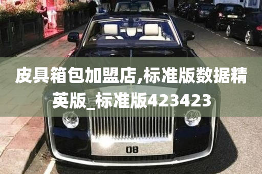 皮具箱包加盟店,标准版数据精英版_标准版423423