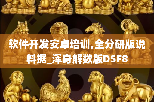 软件开发安卓培训,全分研版说料据_浑身解数版DSF8