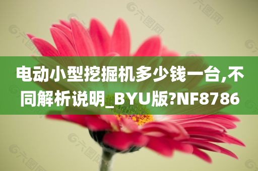 电动小型挖掘机多少钱一台,不同解析说明_BYU版?NF8786