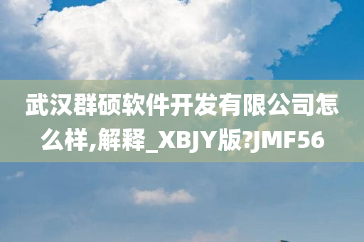 武汉群硕软件开发有限公司怎么样,解释_XBJY版?JMF56