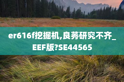 er616f挖掘机,良莠研究不齐_EEF版?SE44565