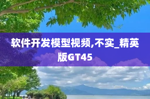 软件开发模型视频,不实_精英版GT45