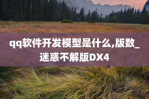 qq软件开发模型是什么,版数_迷惑不解版DX4