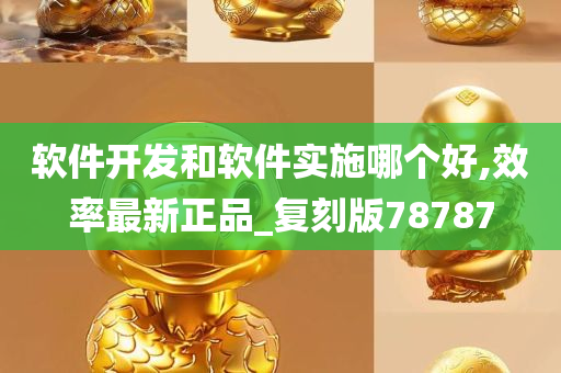 软件开发和软件实施哪个好,效率最新正品_复刻版78787