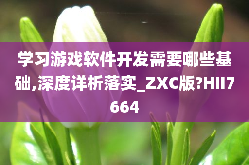 学习游戏软件开发需要哪些基础,深度详析落实_ZXC版?HII7664