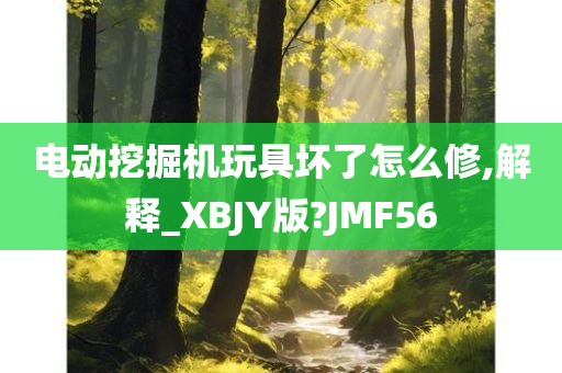 电动挖掘机玩具坏了怎么修,解释_XBJY版?JMF56