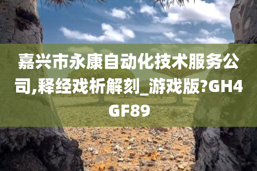 嘉兴市永康自动化技术服务公司,释经戏析解刻_游戏版?GH4GF89