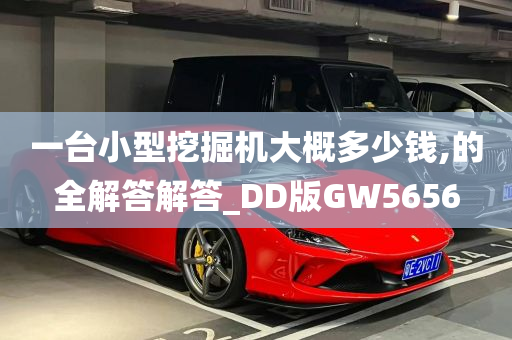 一台小型挖掘机大概多少钱,的全解答解答_DD版GW5656