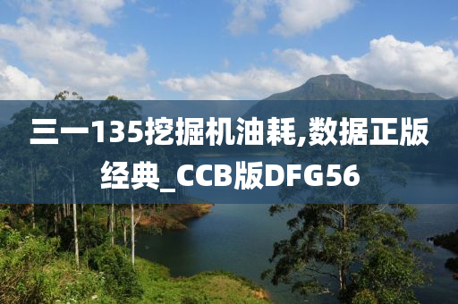 三一135挖掘机油耗,数据正版经典_CCB版DFG56