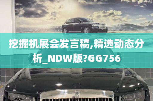 挖掘机展会发言稿,精选动态分析_NDW版?GG756