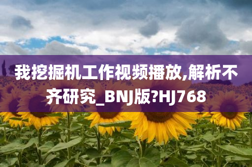 我挖掘机工作视频播放,解析不齐研究_BNJ版?HJ768