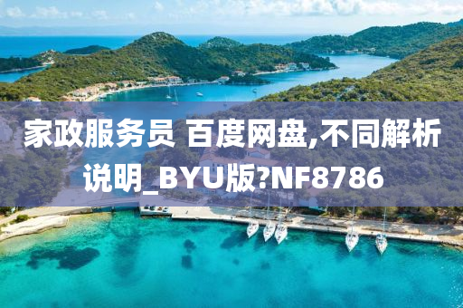 家政服务员 百度网盘,不同解析说明_BYU版?NF8786