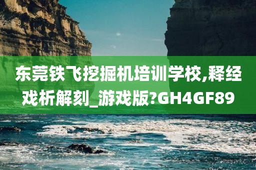 东莞铁飞挖掘机培训学校,释经戏析解刻_游戏版?GH4GF89