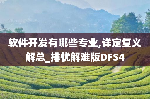 软件开发有哪些专业,详定复义解总_排忧解难版DFS4