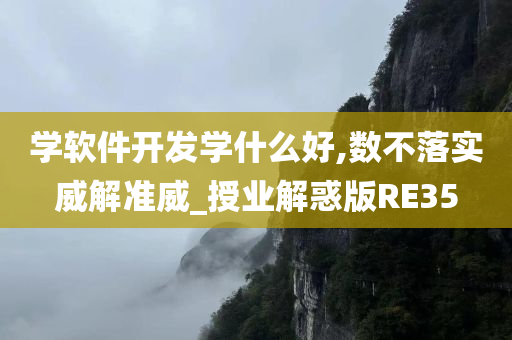 学软件开发学什么好,数不落实威解准威_授业解惑版RE35