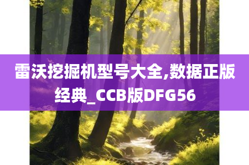 雷沃挖掘机型号大全,数据正版经典_CCB版DFG56