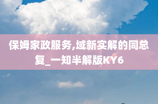 保姆家政服务,域新实解的同总复_一知半解版KY6