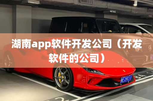 湖南app软件开发公司（开发软件的公司）