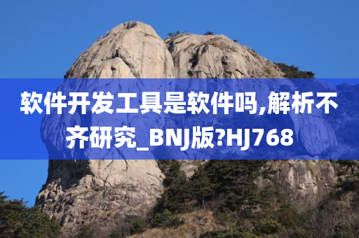 软件开发工具是软件吗,解析不齐研究_BNJ版?HJ768